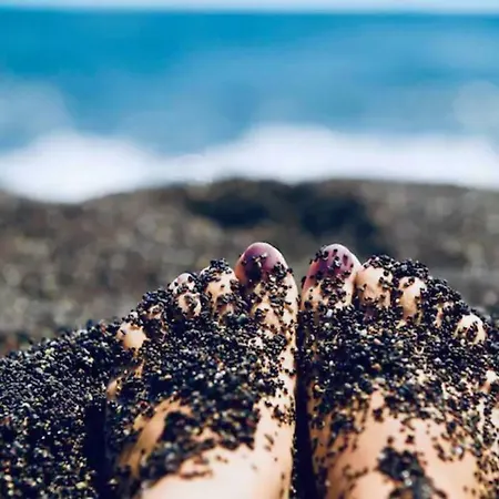 Dodo's Apart-hotel 3*