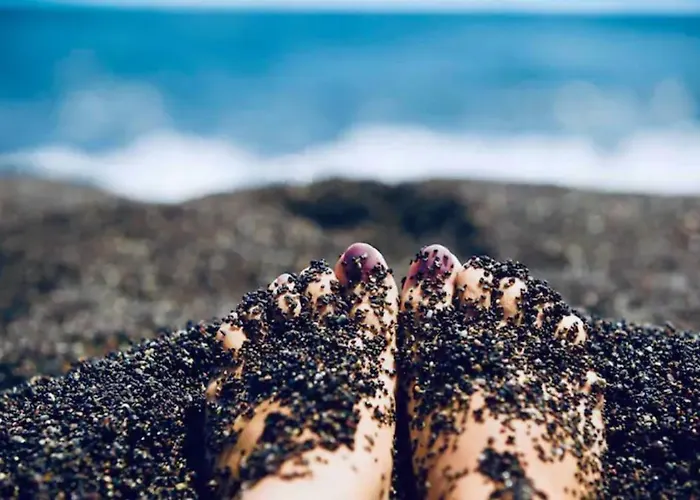 Dodo's Апарт-отель 3*